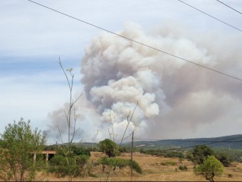 L'incendi vist des d'uns camps de conreu ACN