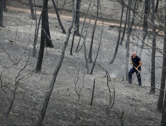 Després del pas del foc, ahir les imatges de desolació i terra cremada eren una constant als boscos i en alguns nuclis habitats de la zona afectada EFE/ REUTERS
