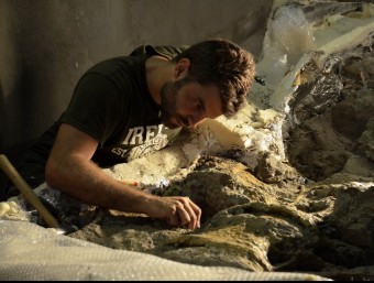 Un paleontòleg netejant un fòssil de dinosaure.  ACN