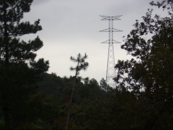 Una de les torres de la MAT al terme de Santa Coloma. El ramal sortirà de la a torre 134 del primer tram de la MAT (el Setmenat-Bescanó), que és al terme de Santa Coloma J. COLOMER