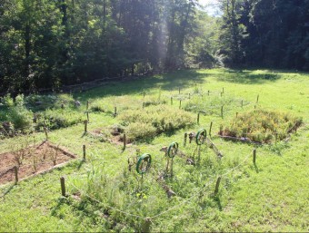 Aspecte del jardí del monestir. EPA