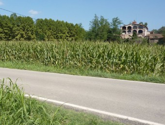 La zona de Codella, al marge dret del Fluvià, que és per on la variant d'Olot entraria a la Vall d'en Bas. R. E