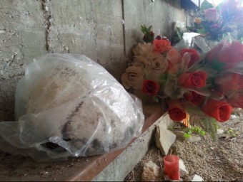 Imatge del crani deixat per un anònim al Memorial de les Camposines de La Fatarella. CEDIDA