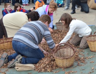 Un dels actes més vistosos va ser el primer concurs decollir avellanes a mà AJUNTAMENT DE BRUYNOLA