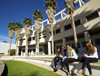 Un indret del Campus de la Universitat d'Alacant. EL PUNT AVUI