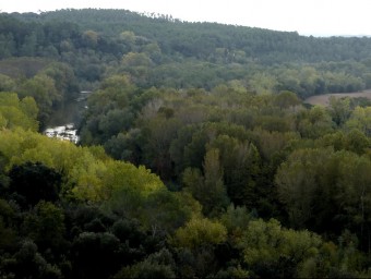 A la dreta del riu, el bosc afectat pel projecte, al terme de Parets d'Empordà. R. E