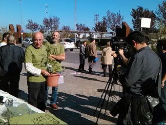 El pagès Josep Pàmies amb un test amb una planta de marihuana, ahir durant l'acció simbòlica a l'Hospital Arnau de Vilanova DOLÇA REVOLUCIÓ