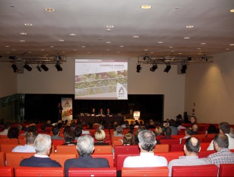 La cooperativa Actel va celebrar ahir a la Llotja de Lleida l'assemblea anual E.B. / ACN