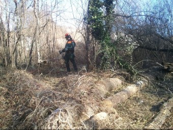 La llenya prové de les neteges forestals que s'estan duent a terme als boscos comunals del municipi. J.C