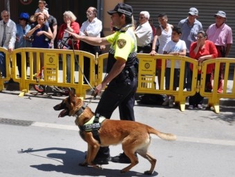 La unitat canina de la policia local de Canet de Mar es va posar en marxa l'any 2012 i ara se suprimeix AJ. CANET