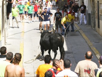 Una exhibició de bous capllacats, en una imatge d'arxiu