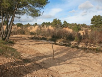Les obres han consistit en la retirada de vegetació i sediments de la llera del riu Algars. CEDIDA