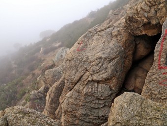 Per arribar a la Cova de les Encantades s'ha de fer un camí amb pendent per enmig del bosc i les roques J.RAMOS