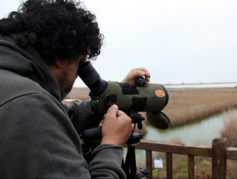 Un tècnic del Parc Natural compta el nombre d'aus a la bassa de l'Encanyissada ACN