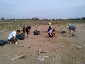 Un grup de voluntaris del parc natural retira brossa acumulada a la platja dels Eucaliptus. PARC NATURAL DEL DELTA