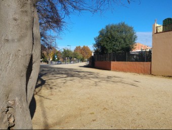 La zona de sorra de la riera a Can Feliciano és un dels punts negres de Malgrat pel què fa a excrements de gossos T.M