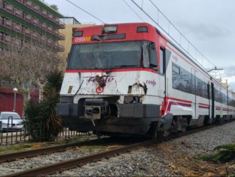 Un tren de la R1 ha xocat contra una palmera que ha caigut a la via a Calella T.MARQUEZ