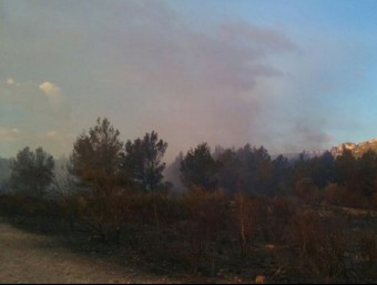 Imatge de l'incendi de vegetació al Baix Camp @BOMBERSCAT