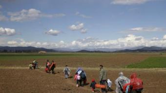 Refugiats caminen en un camp cap a la frontera entre Grècia i Macedònia REUTERS