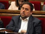 Junqueras, durant el ple d'aquest dimecres ACN