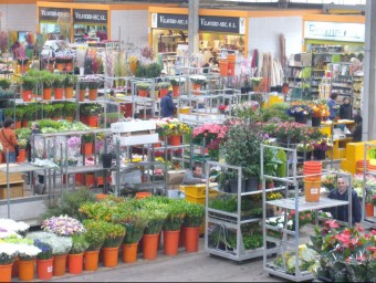 Una imatge d'arxiu de l'interior del Mercat de la Flor i la Planta Ornamental GERARD ARIÑO