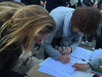 Recollida de signatures contra la tala dels plataners centenaris de Cadaqués. EL PUNT AVUI