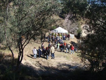 La plantada popular es farà ala zona dels pins de Can Puigcarbó i es tracta d'una activitat de caire familiar. A.T