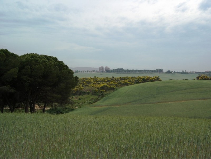 El Pla de Reixac, la zona agrícola forestal situada entre Montcada, Ripollet, Santa Perpètua i La Llagosta PLATAFORMA SALVEM EL PLA DE REIXAC