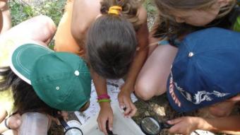 Un grup d'infants en una de les activitats sobre la natura en unes colònies EL PUNT AVUI
