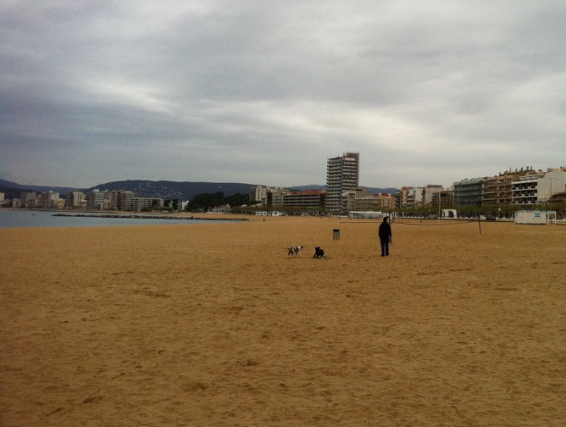 La platja gran de Palamós, en primer terme, i, al fons, el passeig marítim de Sant Antoni de Calonge J.T