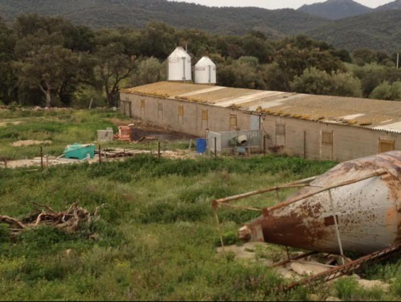 Una imatge de l'estat actual de la granja que es vol ampliar EL PUNT AVUI