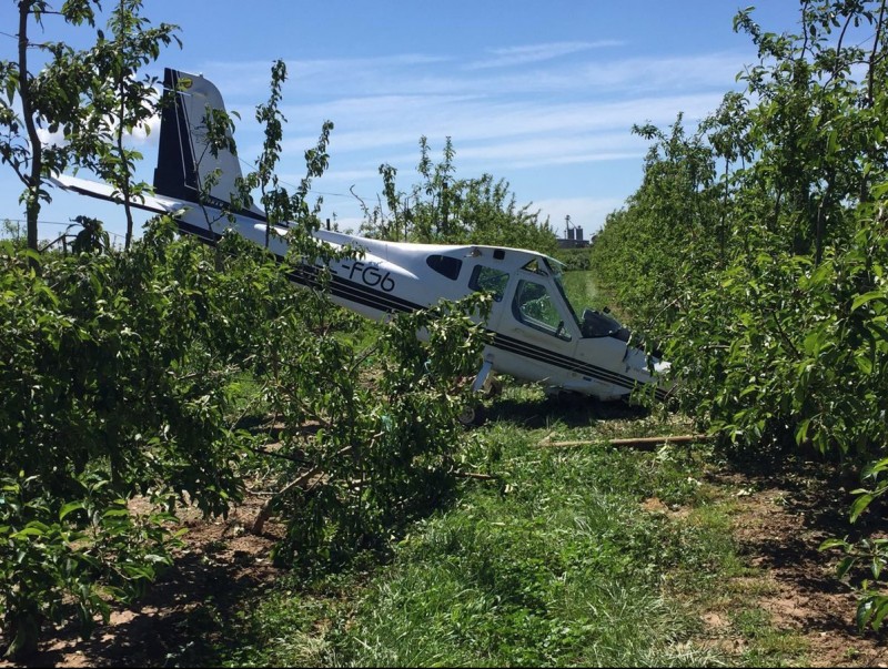 L'avioneta que abans-d'ahir va dur a terme un descens forçós i va quedar en un terreny d'arbres fruiters, a prop de la carretera que va de Viladamat a l'Armentera EPA