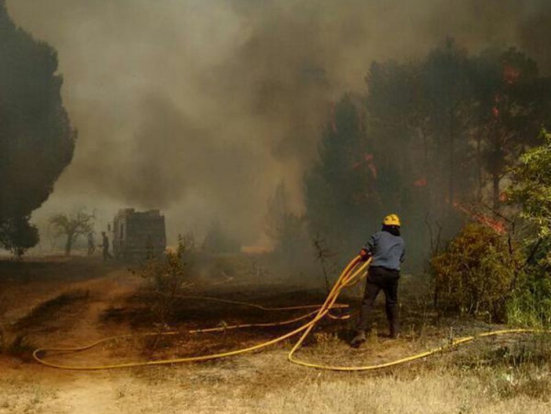Un bomber , en un incendi a Ascó l'any passat. ARXIU