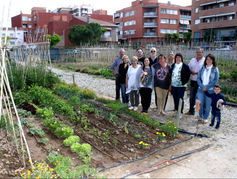 Un grup d'usuaris dels horts urbans de Tàrrega ACN