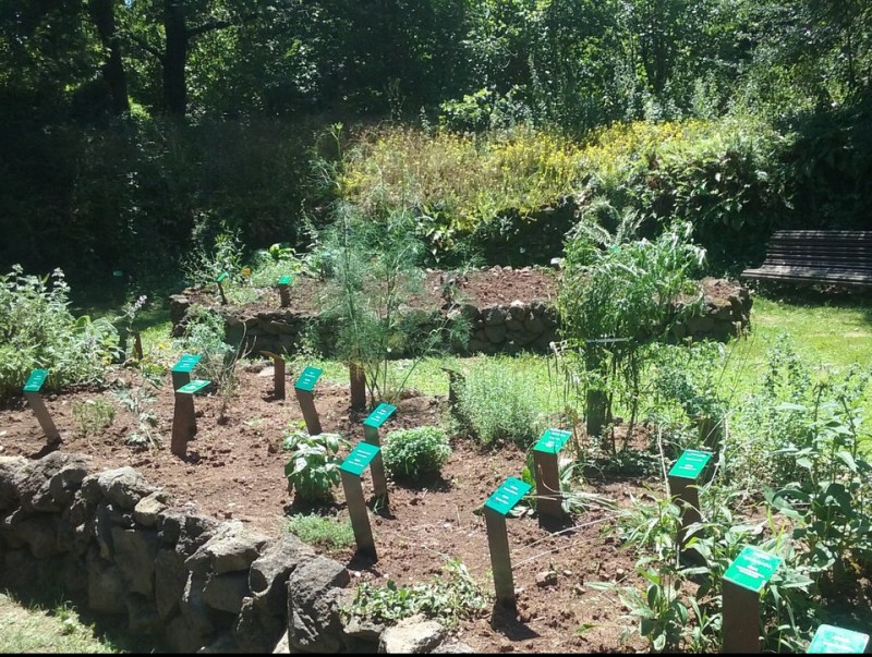 L'espai amb plantes remeieres nou al parc de Pedra Tosca de Les Preses EL PUNT AVUI