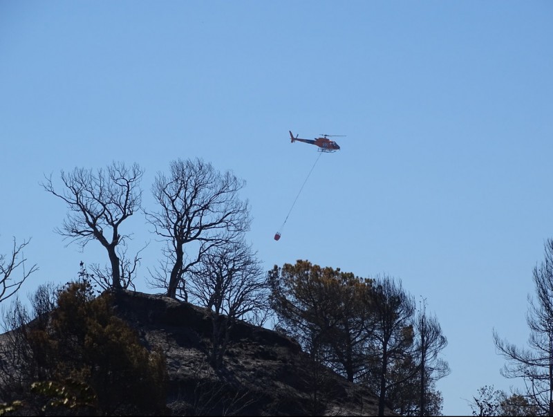 U helicòpter remulla la zona a Sant Feliu, dimarts al matí JORDI PREÑANOSA