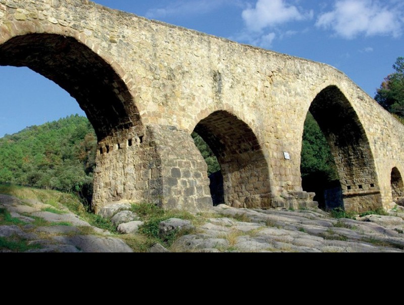 El pont romànic de Cercs ACNA