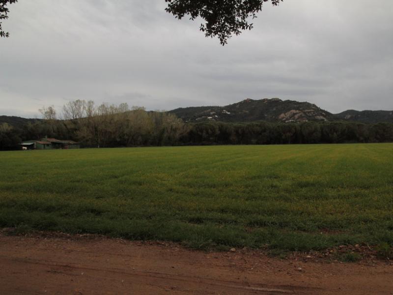 Terrenys del sector Riera dels Molinets de Santa Cristina d'Aro, on caldrà desviar la riera del Vilar per resoldre els riscos d'inundabilitat en cas de fortes precipitacions E.A