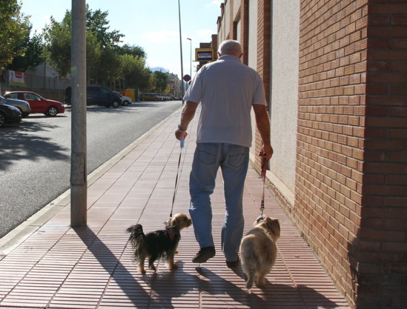 Un home passeja dos gossos per un carrerde Vilanova del Camí. ÒSCAR LÓPEZ