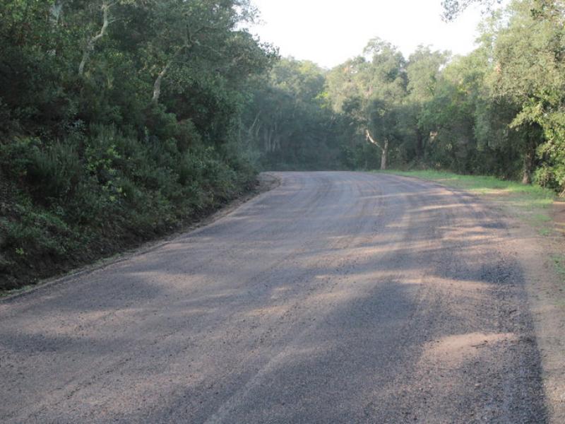 El ferm ja compactat de nou a la pista veïnal que uneix Romanyà amb la urbanització del Mas Nou E.A