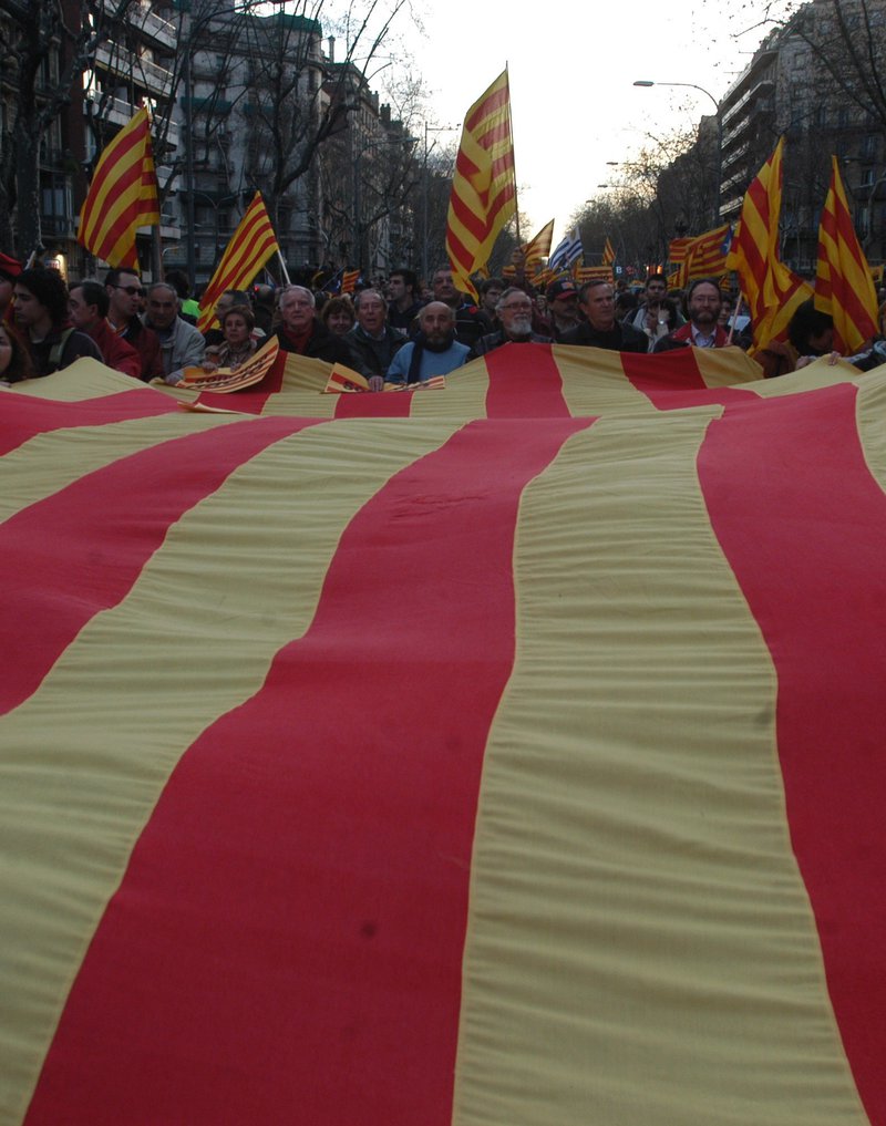 De la senyera a l'estelada | Jordi Panyella | barcelona | Política | El  Punt Avui