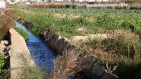 Séquia del parc agrari del Llobregat, al delta del riu