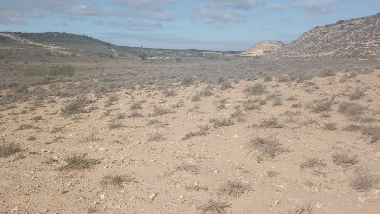 La reserva natural de Mas de Melons, de clima semiàrid, entre el Segrià i les Garrigues.