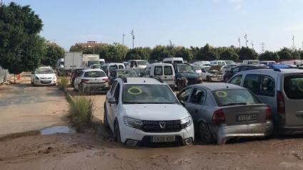 Pla general d’un dels cementiris de cotxes situats a l’Horta Sud, amb alguns vehicles marcats amb un cercle de color groc